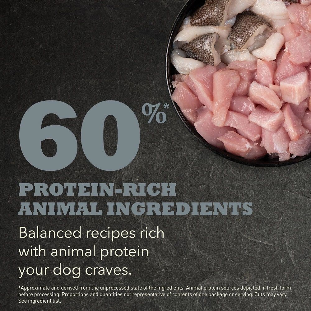 Adult Small Breed Dog Recipe | ACANA Canada